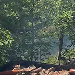 Bukvic